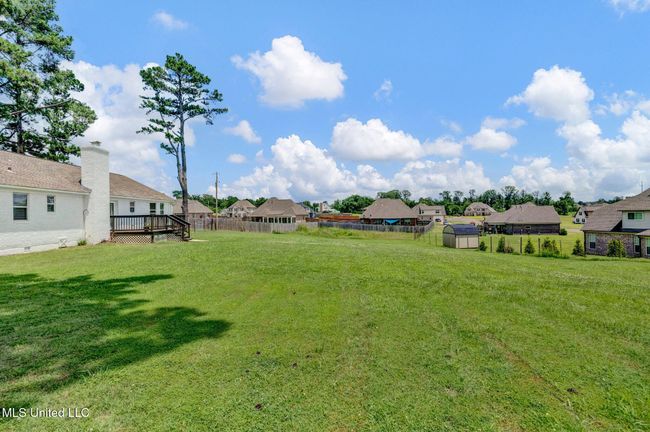 Back Yard | Image 36