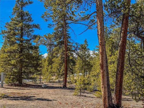 199 Cedar Dr, Twin Lakes, CO, 81251-9747 | Card Image
