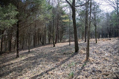 5.40 Ac. Tulip Ln, Cookeville, TN, 38501 | Card Image