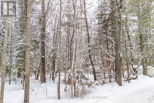 0 Raymond Rd, Laurentian Hills, ON, K0J1P0 | Card Image