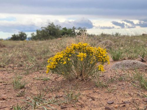 VL Willow Springs Ranch Lot 2-9, San Antonio, NM, 87832 | Card Image