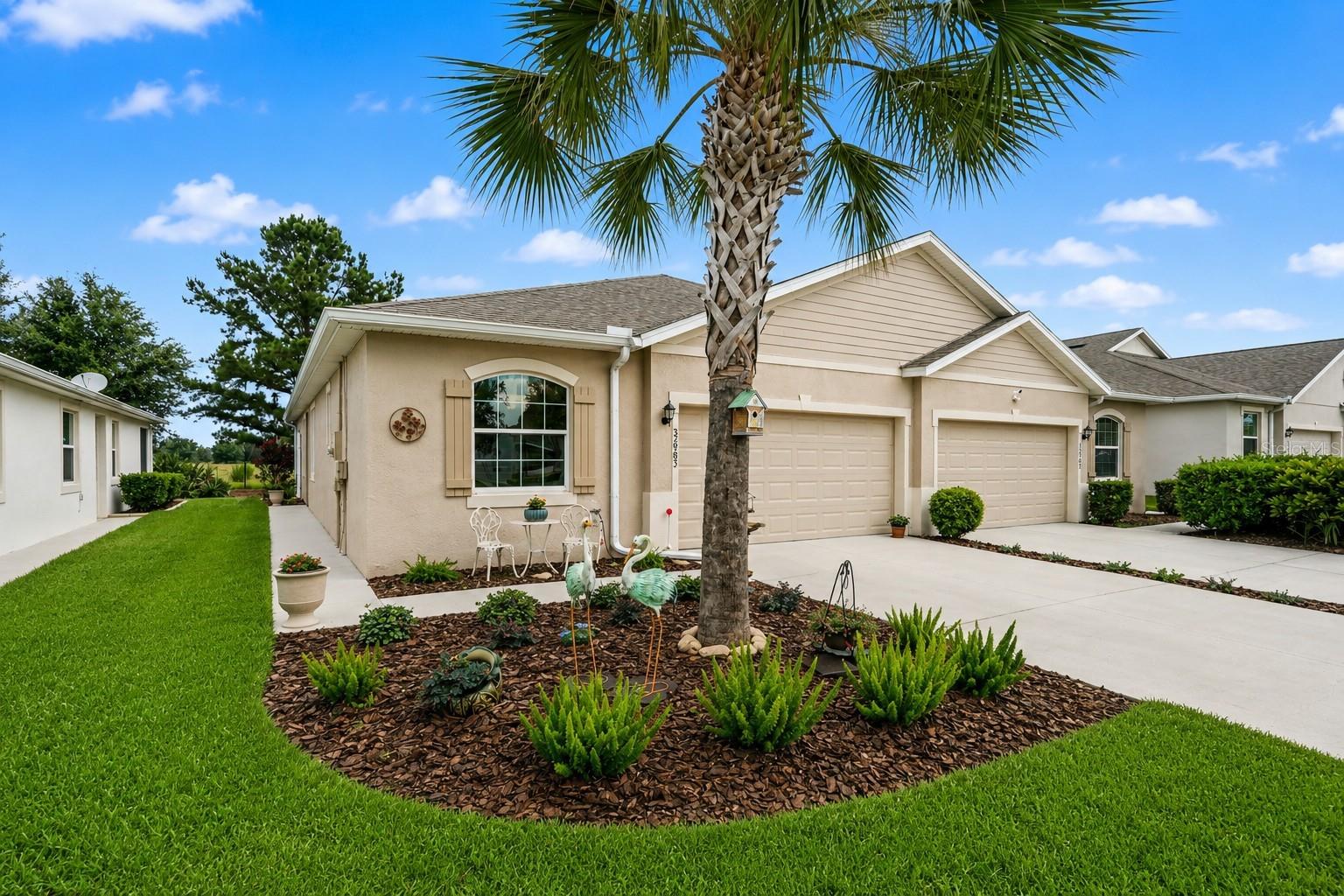 Residential in WESLEY CHAPEL 4