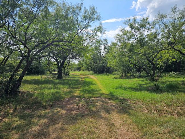View of yard | Image 17