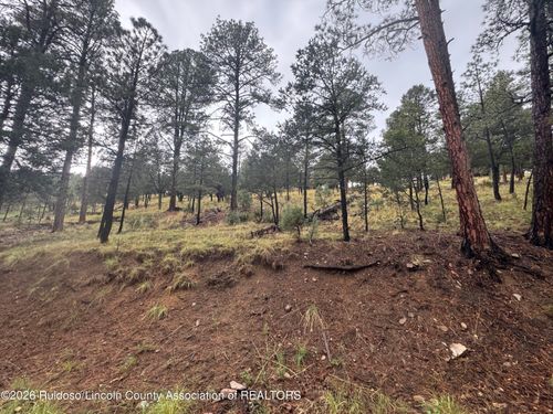7-43 Alto Dr, Alto, NM, 88312 | Card Image