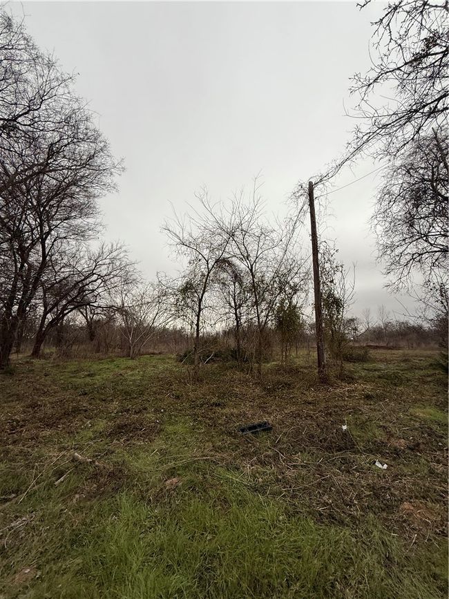 View of nature featuring a rural view | Image 9