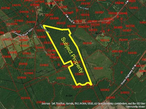 0 State Highway 87 N, Burkeville, TX, 75932 | Card Image