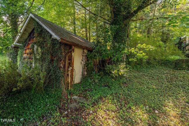 306 Bear Branch Rd, Home with 0 bedrooms, 0 bathrooms and null parking in Roan Mountain TN | Image 45