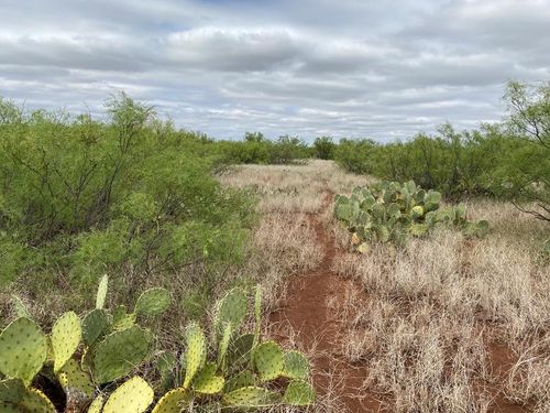 000 W Interstate 20, Westbrook, TX, 79565 | Card Image