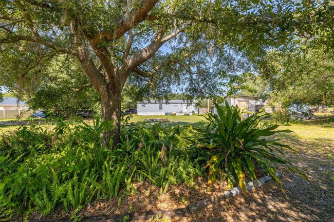 7308 Boyette Road, House other with 3 bedrooms, 2 bathrooms and null parking in Wesley Chapel FL | Image 26