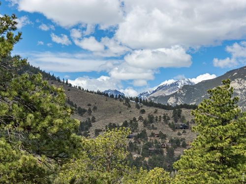 825 Castle Mountain Rd, Estes Park, CO, 80517-9109 | Card Image