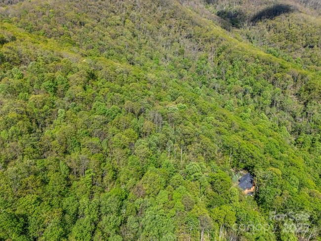 8 White Birch Ct, Home with 0 bedrooms, 0 bathrooms and null parking in Black Mountain NC | Image 11
