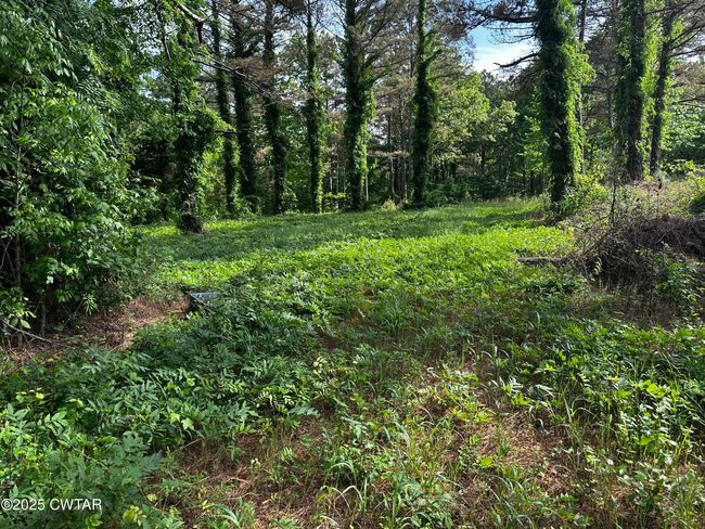0 Highway 57 E, Home with 0 bedrooms, 0 bathrooms and null parking in Michie TN | Image 5