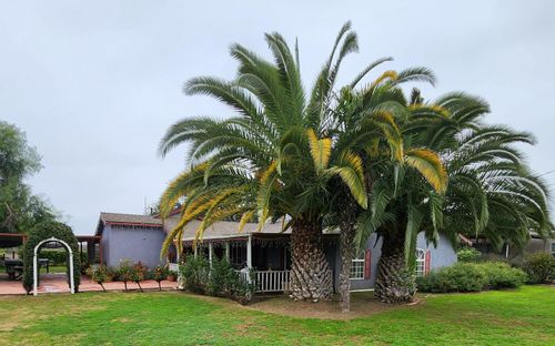 3723 W Central Ave, Fresno, CA, 93706-9124 | Card Image