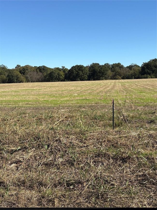 Tract 3 County Rd 2130, Home with 0 bedrooms, 0 bathrooms and null parking in Telephone TX | Image 6