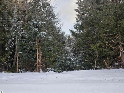 0 Arrowhead Dr, Oscoda, MI, 48750 | Card Image