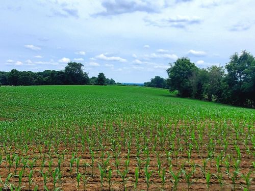 0 Jones Road, Gosport, IN, 47460 | Card Image