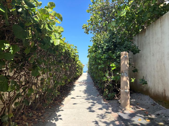 761 Ocean Dr, House other with 4 bedrooms, 4 bathrooms and null parking in Juno Beach FL | Image 44