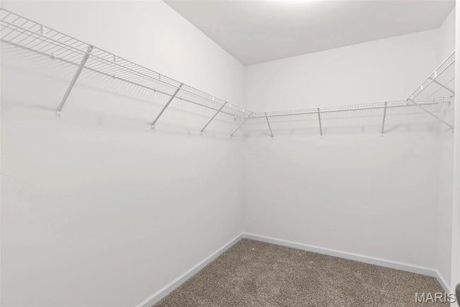 Walk in closet featuring carpet floors | Image 18