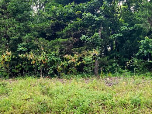 Lot 2 Tate Rd, Ridgedale, MO, 65739 | Card Image
