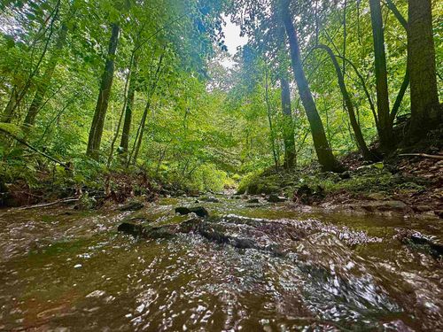 Tract 1 S Teter Creek Road, Montrose, WV, 26283 | Card Image