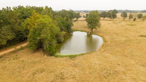 000 County Road 417, Alton, MO, 65606 | Card Image