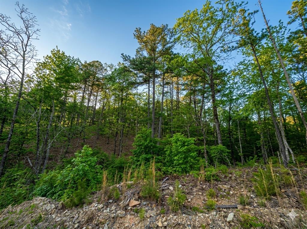 Land in Broken Bow