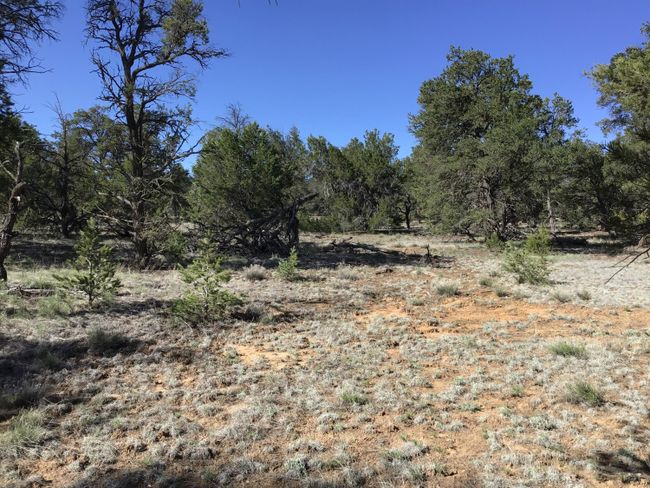 Lot 7 Red Fox Road, Home with 0 bedrooms, 0 bathrooms and null parking in Ramah NM | Image 13