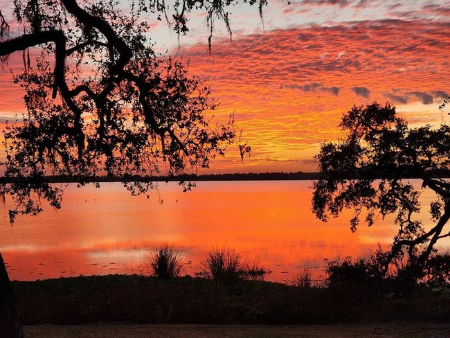 1013 Quail Ln, House other with 3 bedrooms, 2 bathrooms and 3 parking in Eagle Lake TX | Image 30