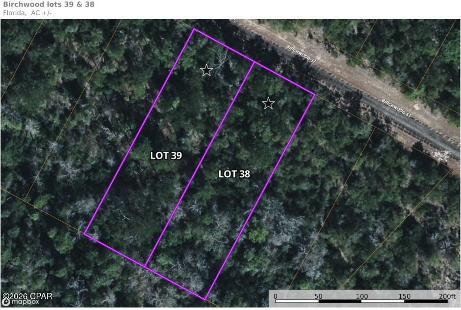 Land in Chipley 5