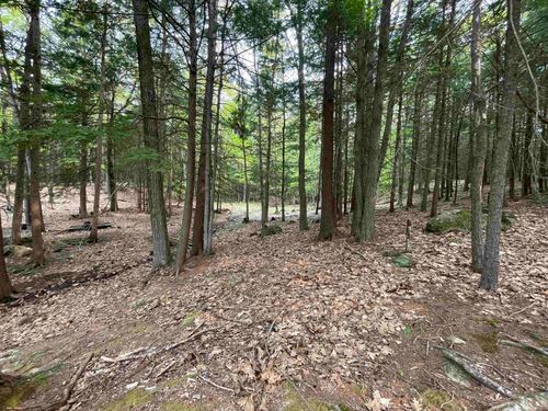 Map 212, Lot 49 Durrell Mountain Road, Belmont, NH, 03220 | Card Image
