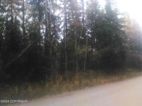 TL217 Old Valdez Trl, Salcha, AK, 99714 | Card Image