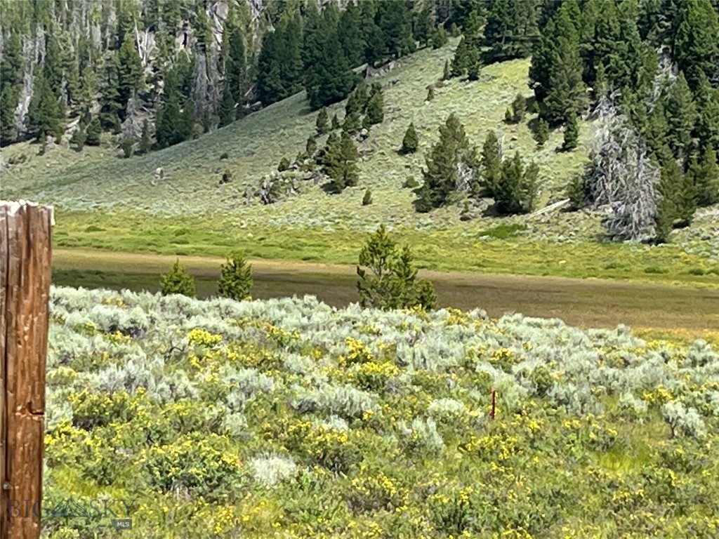 Land in Butte 2