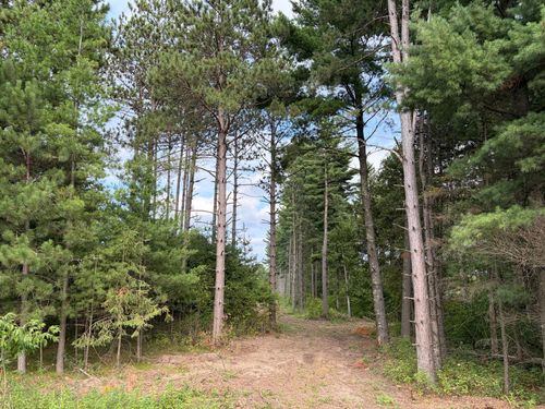 (Lot 5) TBD Tulip St Nw, Stanchfield, MN, 55080 | Card Image