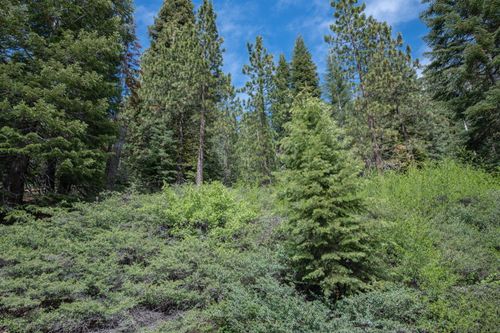 51 Liberty Road, Dorrington, CA, 95223 | Card Image