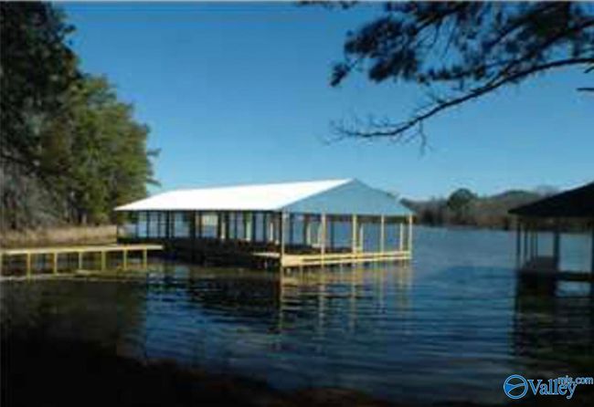 331 John Cabaniss Rd, Home with 0 bedrooms, 0 bathrooms and null parking in Langston AL | Image 5