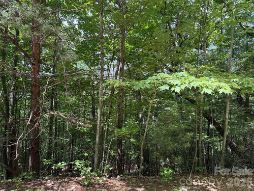 132a-TBD Warren Way, Purlear, NC, 28665 | Card Image