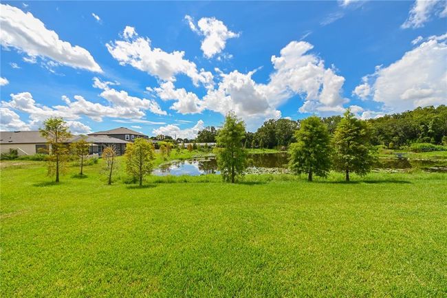 4808 Jackson Club Loop, House other with 4 bedrooms, 4 bathrooms and null parking in TAMPA FL | Image 42