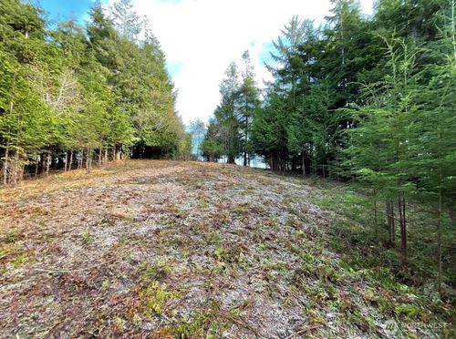 29 Spruce Ln, South Bend, WA, 98586-9008 | Card Image