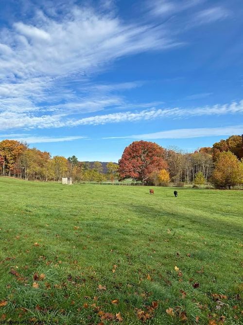 65 Friel Hill Rd, Huttonsville, WV, 26273-1216 | Card Image