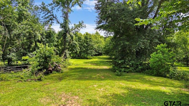 14325 County Road 2141, Home with 3 bedrooms, 2 bathrooms and null parking in Troup TX | Image 45