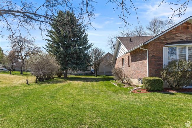 View of yard | Image 40
