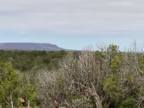10 Bull Canyon Loop, Newkirk, NM, 88431 | Card Image