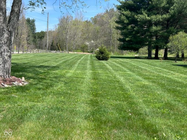 view of yard | Image 20
