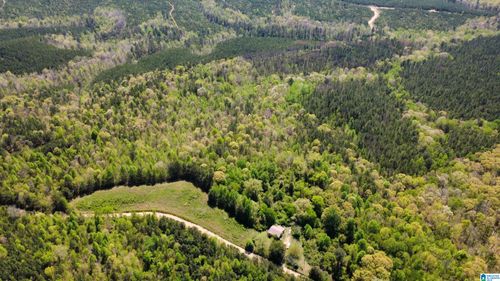 0-525 County Road 624, Muscadine, AL, 36269 | Card Image