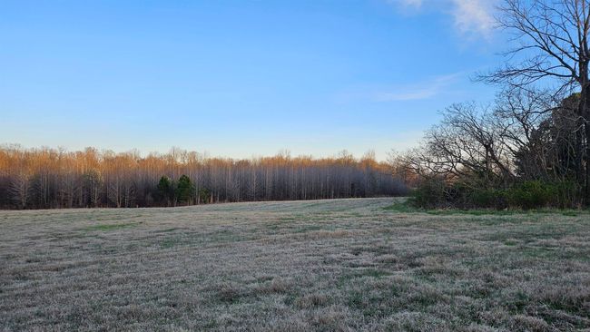 299 County Road 417, House other with 4 bedrooms, 4 bathrooms and null parking in Rector AR | Image 27