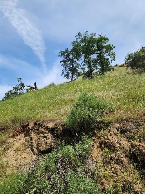 0 Baywood Ln, Squaw Valley, CA, 93675 | Card Image