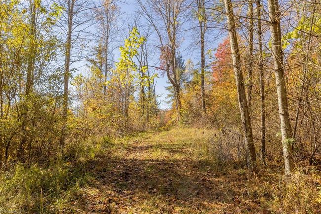 0 Laurel Creek Rd Ne, Home with 0 bedrooms, 0 bathrooms and null parking in Pilot VA | Image 17