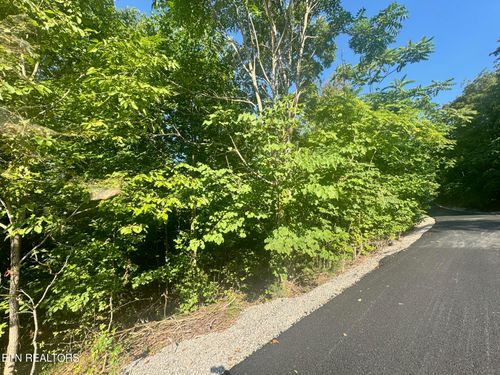 617 N North Pointe Tr, Allons, TN, 38541 | Card Image