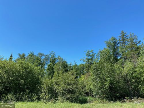TBD (L9, B2) Goldfinch Ln Sw, Bemidji, MN, 56601 | Card Image
