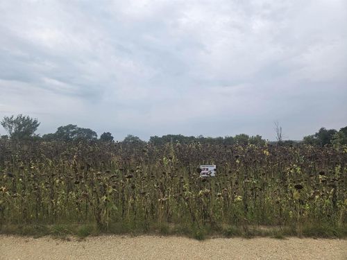 Lot 12 Ridge Point Estates, Mineral Point, WI, 53565 | Card Image